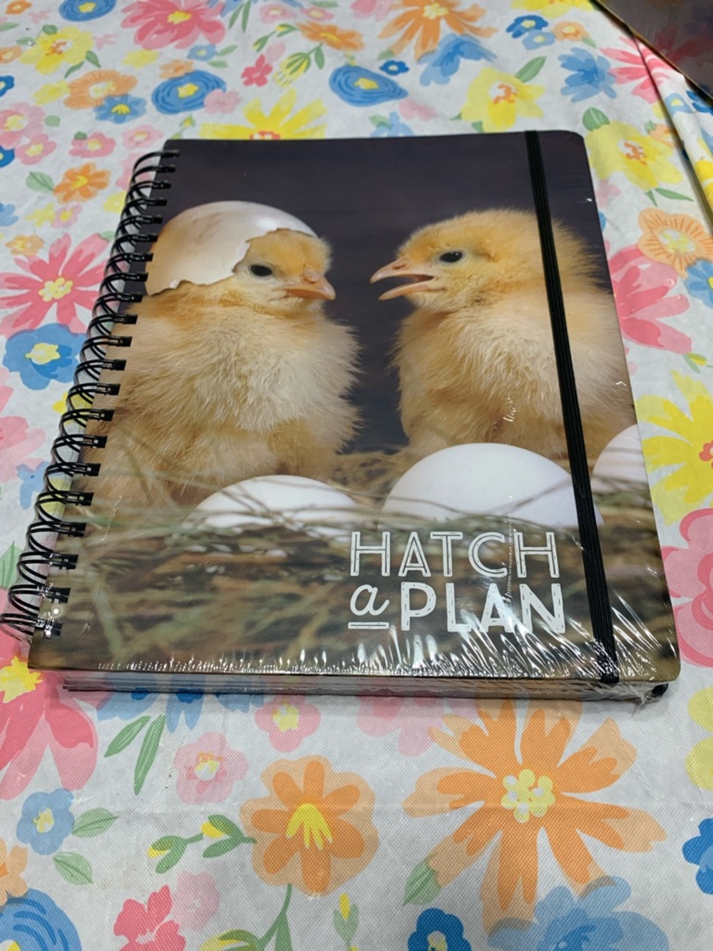 Bella Bug Hatch a Plan Chicks Large Spiral Journal